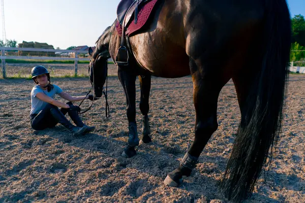 Eine Behelmte Reiterin Füttert Ihr Schönes Schwarzes Pferd Während Eines — Stockfoto