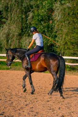 Miğfer takmış bir atlı kadın ata binerken arenada güzel siyah atına biniyor.
