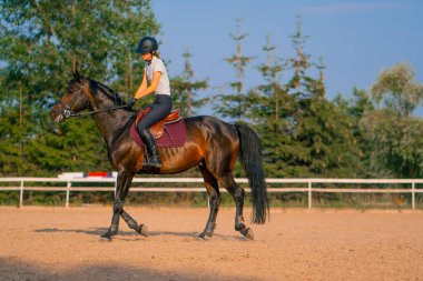 Miğfer takmış bir atlı kadın ata binerken arenada güzel siyah atına biniyor.