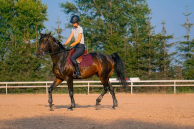 Miğfer takmış bir atlı kadın ata binerken arenada güzel siyah atına biniyor.