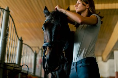 Bir binici siyah atına koşum takımı takar ve yarış atı konseptine hazırlanır.