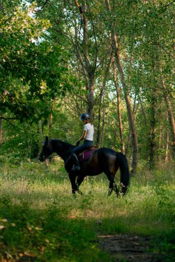 Miğfer takmış bir binici at sürerken ormanda güzel siyah atına biner.