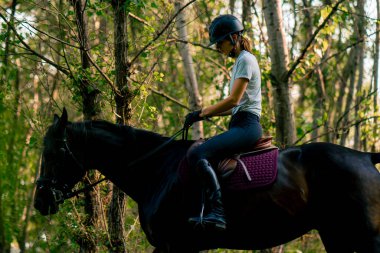 Miğfer takmış bir binici at sürerken ormanda güzel siyah atına biner.