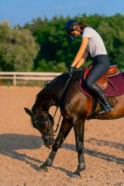 Una Donna Cavallo Vestita Con Casco Cavalca Suo Bellissimo Cavallo — Foto Stock