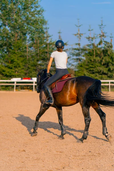Una Donna Cavallo Vestita Con Casco Cavalca Suo Bellissimo Cavallo — Foto Stock