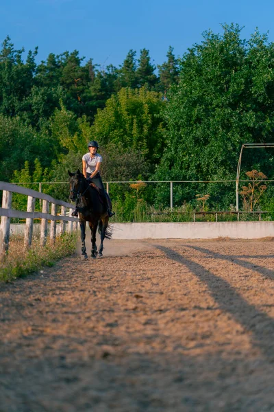 Ridkvinna Klädd Hjälm Rider Sin Vackra Svarta Häst Ridarena Ridturen — Stockfoto