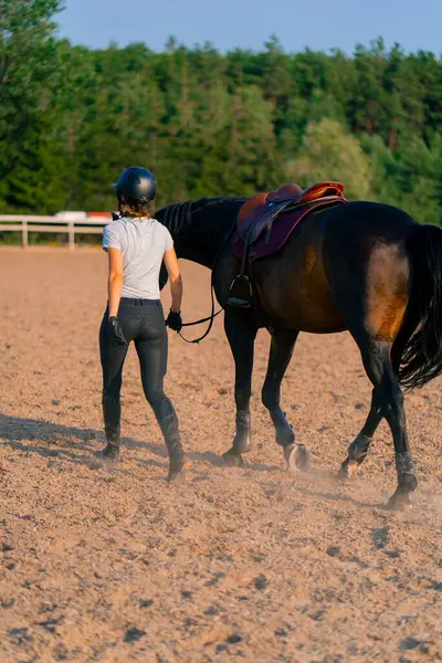 Helmeted Rider Leads Her Beautiful Black Horse Harness Riding Arena — Stock Photo, Image