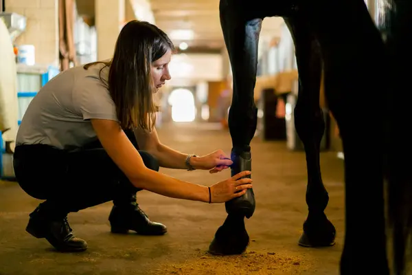 Close Girl Stables Worker Brushes Hooves Horseshoes Horse Stables Concept — Stock Photo, Image