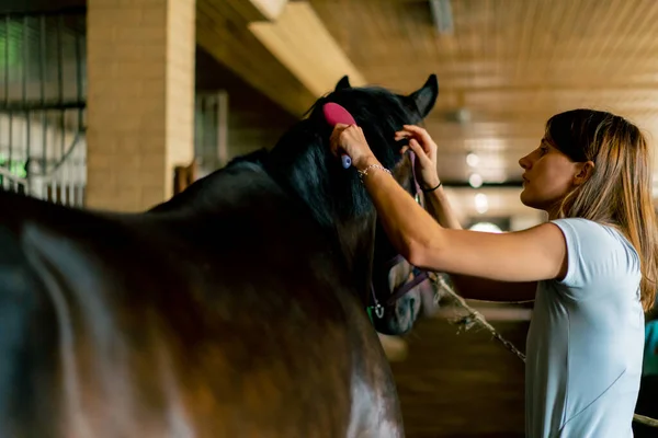 Close Girl Stable Worker Combing Out Mane Black Horse Stable — Stock Photo, Image