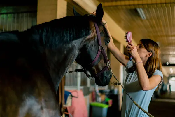 Close Girl Stable Worker Combing Out Mane Black Horse Stable — Stock Photo, Image