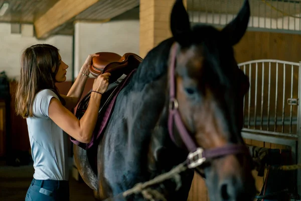 Rider Puts Saddle Her Black Horse Stables Preparation Race Equestrian — Stock Photo, Image