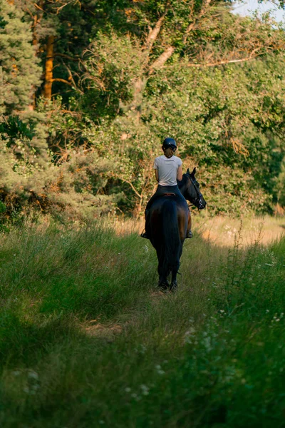 Rider Dressed Helmet Rides Her Beautiful Black Horse Forest Horseback — Stock Photo, Image