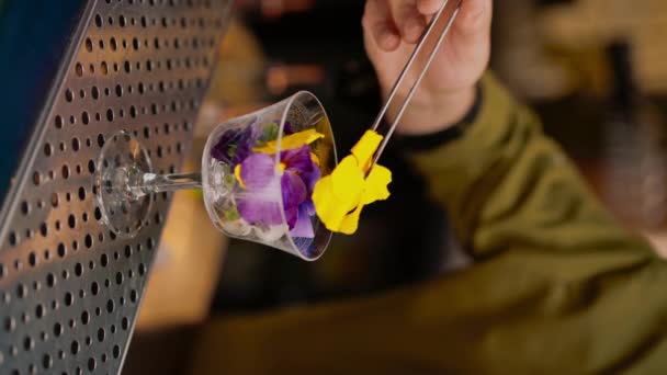 Бармен Барі Або Ресторані Прикрашає Свіжоприготований Алкогольний Коктейль Розкладає Декор — стокове відео