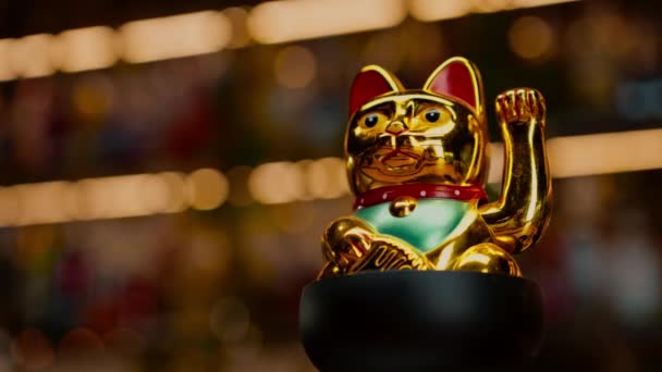 Figurine Gyllene Pengar Katt Cocktail Glas Lycka Charm — Stockvideo