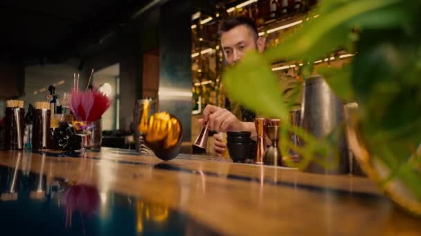 Proces Výroby Koktejlu Baru Barman Míchá Přísady Alkoholického Koktejlu Třepáním — Stock video