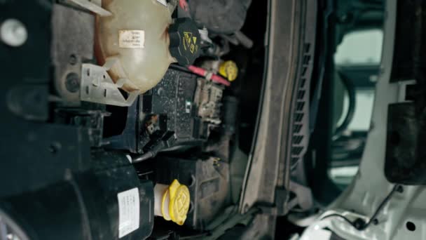 Oto Yıkamacıda Dikey Olarak Detaylandırılırken Chamelion Film Ile Kaplı Lüks — Stok video