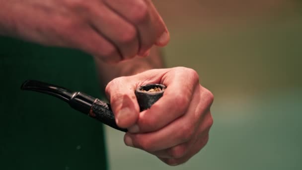 Κοντινό Πλάνο Των Αρσενικών Χεριών Χύνοντας Καπνό Πίπα Στο Πάρκο — Αρχείο Βίντεο