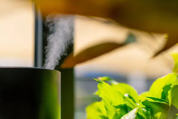 Close Humidifier Steam Coming Out Device Plants Restaurant — Stock Photo, Image