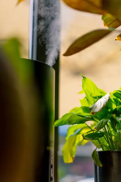 close-up of a humidifier with steam coming out of the device near the plants in restaurant