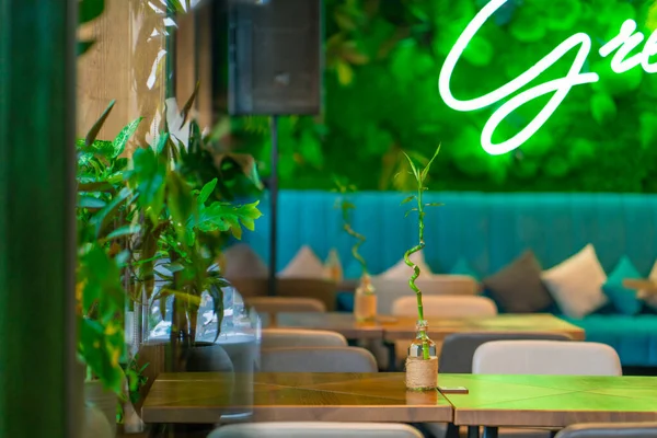 Intérieur Lumineux Restaurant Bar Beaucoup Verdure Plantes Chambre Vide Style — Photo