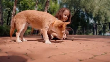 Parkta gezen küçük bir kız en sevdiği kırmızı tüylü köpeğiyle ve onun arkadaşlığı için endişeleniyor.