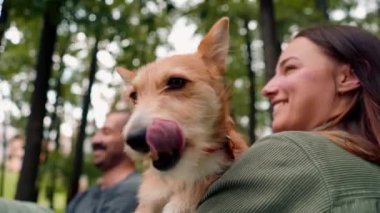 Şehir parkındaki sahibinin kollarında küçük şirin kırmızı bir köpek.