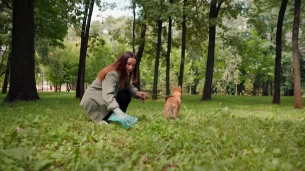 都市公園の芝生から犬のポップを拾う女性 女性はペット排泄物の環境保護と青いビニール袋を保持しています — ストック動画