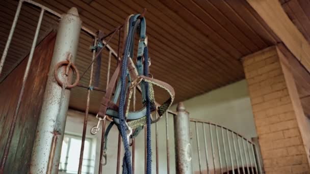 马厩有骑马器材桥架鞍帽职业马术运动 — 图库视频影像