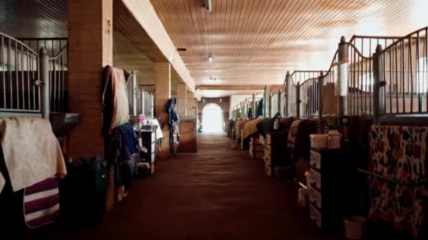 Interior Stables Equipment Horses Noble Animals Stallions Professional Equestrian Sports — Stock Video