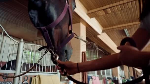 Μια Γυναίκα Ιππέας Οδηγεί Άλογό Της Έξω Από Στάβλο Στο — Αρχείο Βίντεο
