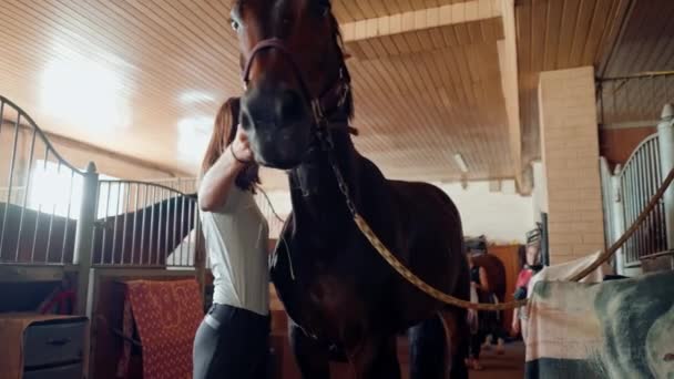 Ženský Jezdec Vyvede Svého Koně Stáje Stáji Přiváže Aby Postaral — Stock video