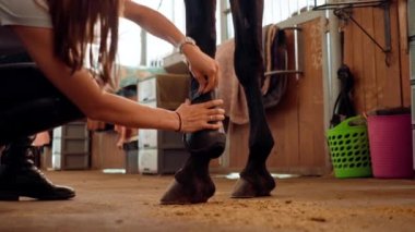 Ahırda bir kızın at nallarını ve toynaklarını temizlemesi at sporlarına ve hayvanlara duyulan sevgidir.