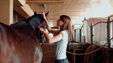 Çiftlikteki bir ahıra kapanmış kuzgun atın yelesini tarayan bir kızın at biniciliği sporuna olan sevgisi kavramını tarıyor.