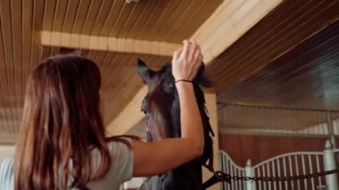 Dişi binici, at sürme eğitimine hazırlanmak için çiftlikteki safkan atının yelesini okşayıp onarıyor.