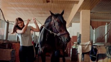 Dişi bir binici, safkan atını çiftlikteki bir ahırda binicilik eğitimine hazırlıyor.
