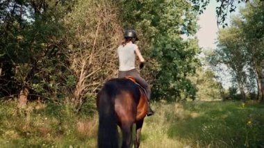 Profesyonel teçhizat giymiş bir sürücü yürüyüş sırasında ormanda güzel atına biner. Hayvanlara olan aşkı sırasında.