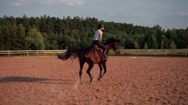 Profesyonel teçhizat giymiş bir binici açık hava eğitim alanında güzel atının üzerinde dörtnala koşuyor.