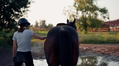 Miğferli bir sürücü siyah atını okşuyor. Yürüyüş sırasında at binme çiftliğindeki bir arenada ekipmanları düzeltiyor.