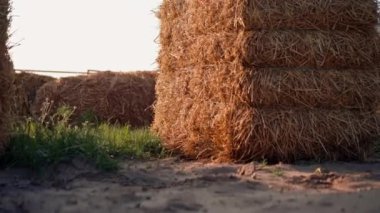 Ahırların yakınındaki bir tarlada duran saman balyasının yakın plan çekimi doğa ve tarım aşkı kavramı.