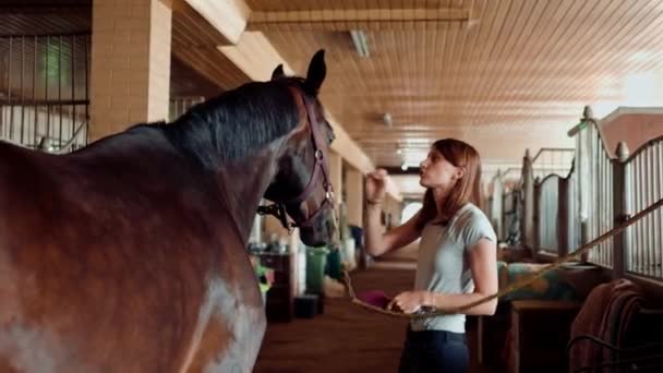 在农场的马厩里 一个小女孩的近身镜头 她梳理着乌鸦马的鬃毛 梳理着热爱马术运动的概念 — 图库视频影像