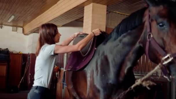 Een Vrouwelijke Ruiter Zadelt Haar Volbloed Paard Een Stal Boerderij — Stockvideo