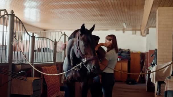 一位女骑手把她的纯种马拴在农场的马厩里 准备骑马训练 — 图库视频影像