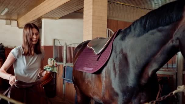 Female Rider Saddles Her Thoroughbred Horse Stable Farm Preparing Equestrian — Stock Video