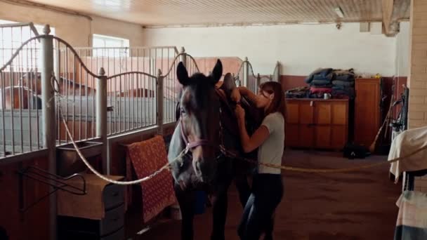 Una Cavallerizza Donna Sella Suo Cavallo Purosangue Una Stalla Fattoria — Video Stock