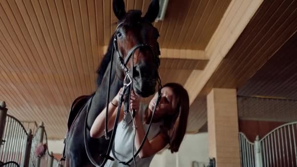 女性ライダーは馬の競争のための準備を安定した農場で彼女のスタリオ馬に橋を置く — ストック動画