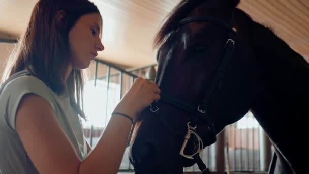 Ženský Jezdec Nasazuje Uzdu Svého Hřebce Stáji Připravuje Jezdeckou Soutěž — Stock video