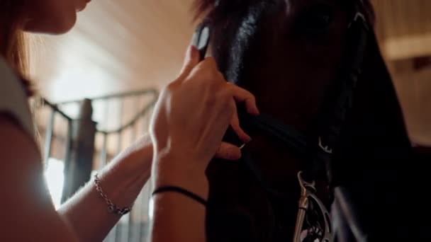Μια Γυναίκα Αναβάτης Βάζει Χαλινάρι Στο Άλογό Της Στο Στάβλο — Αρχείο Βίντεο