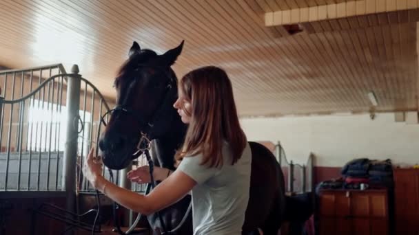 Uma Mulher Coloca Freio Seu Cavalo Garanhão Estábulo Fazenda Preparando — Vídeo de Stock