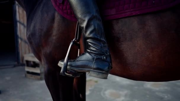 Close Boots Spurs Rider Sitting Horse Horse Ride Hobby Equestrian — Stock Video
