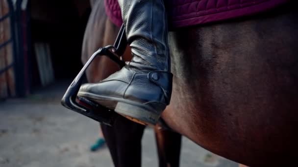 Nahaufnahme Stiefel Mit Sporen Reiter Sitzt Auf Einem Pferd Vor — Stockvideo